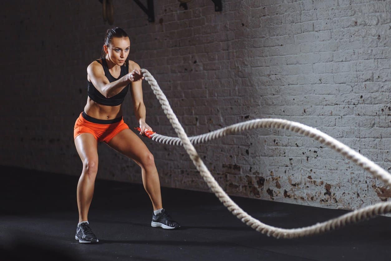 polyester rope suppliers