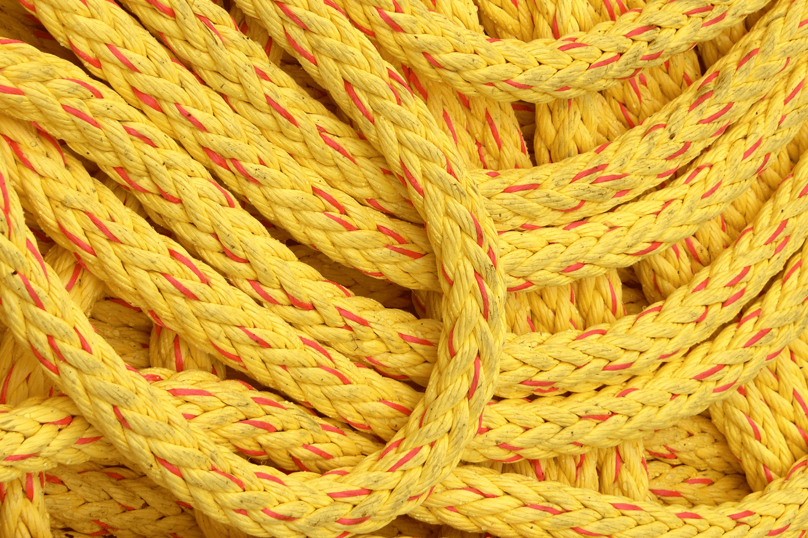 A Guide to Importing Polyester Ropes from China to the USA: Find a reliable polyester rope manufacturers 4 Coiled yellow polyester rope suppliers