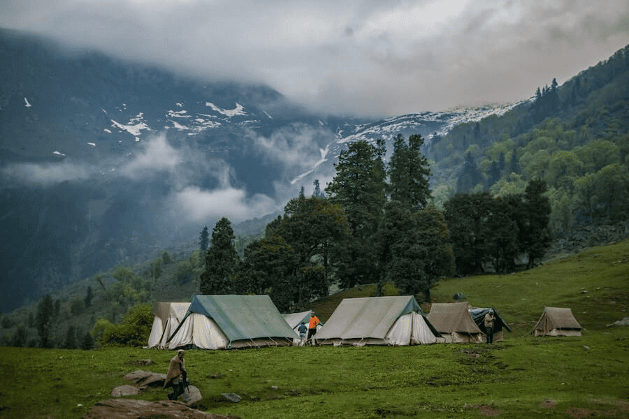 Paracord manufacturing: green and white tents near trees.