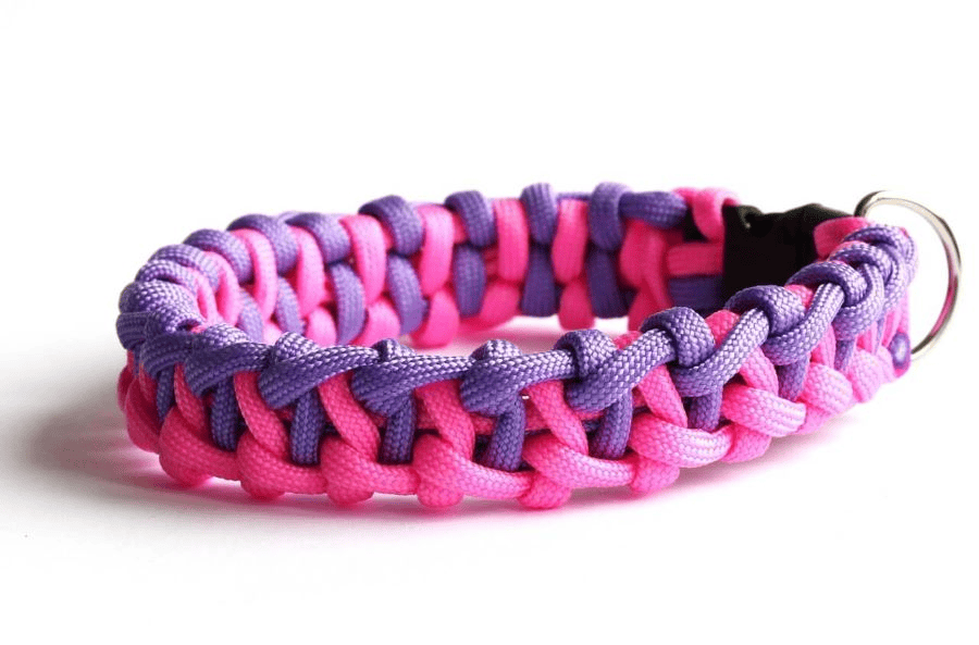 Is There a Better Rope Than Paracord? Exploring Alternatives and Paracord Manufacturer 4 Paracord manufacturer: colored pink and violet woven paracord dog collar.